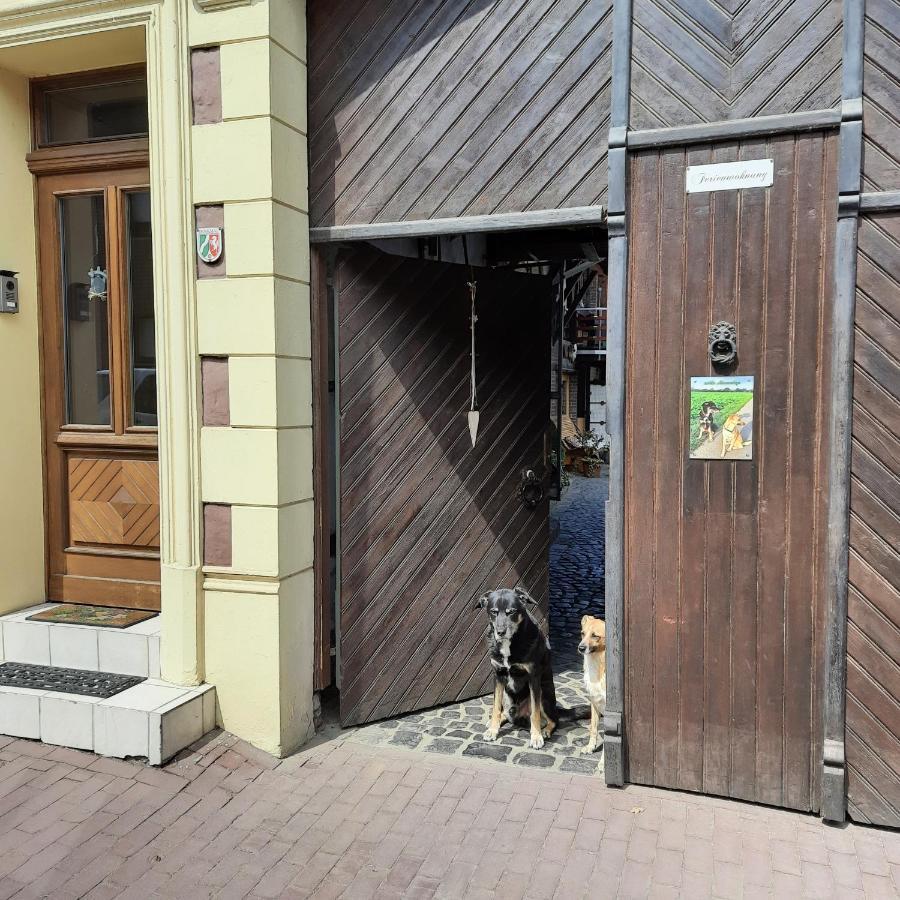 Ferienwohnung Hahnenblick Waldfeucht エクステリア 写真