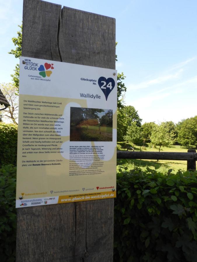 Ferienwohnung Hahnenblick Waldfeucht エクステリア 写真